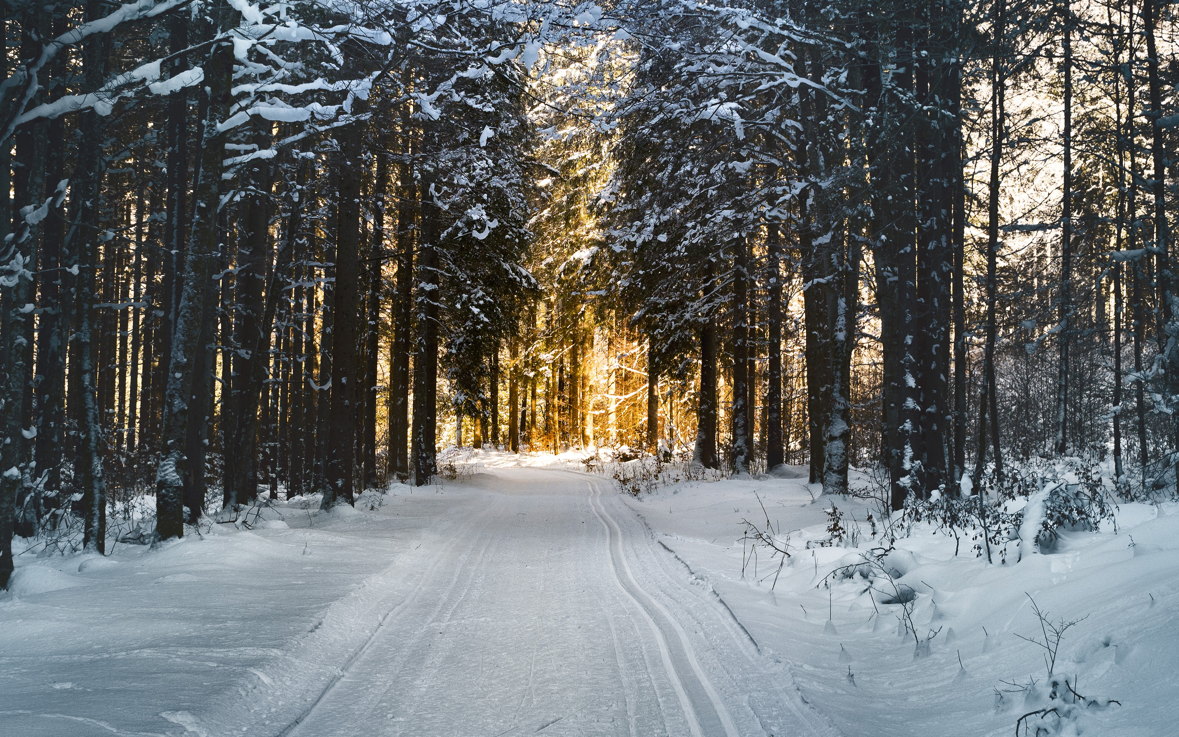 3840 X - Nature Iphone Wallpaper Winter , HD Wallpaper & Backgrounds
