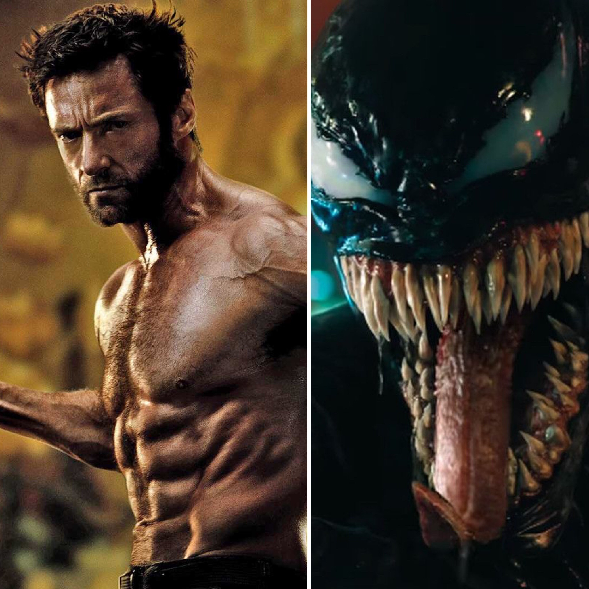 Trend Fox Wolverine Vs Tom Hardy Venom - Hugh Jackman Australia Film , HD Wallpaper & Backgrounds