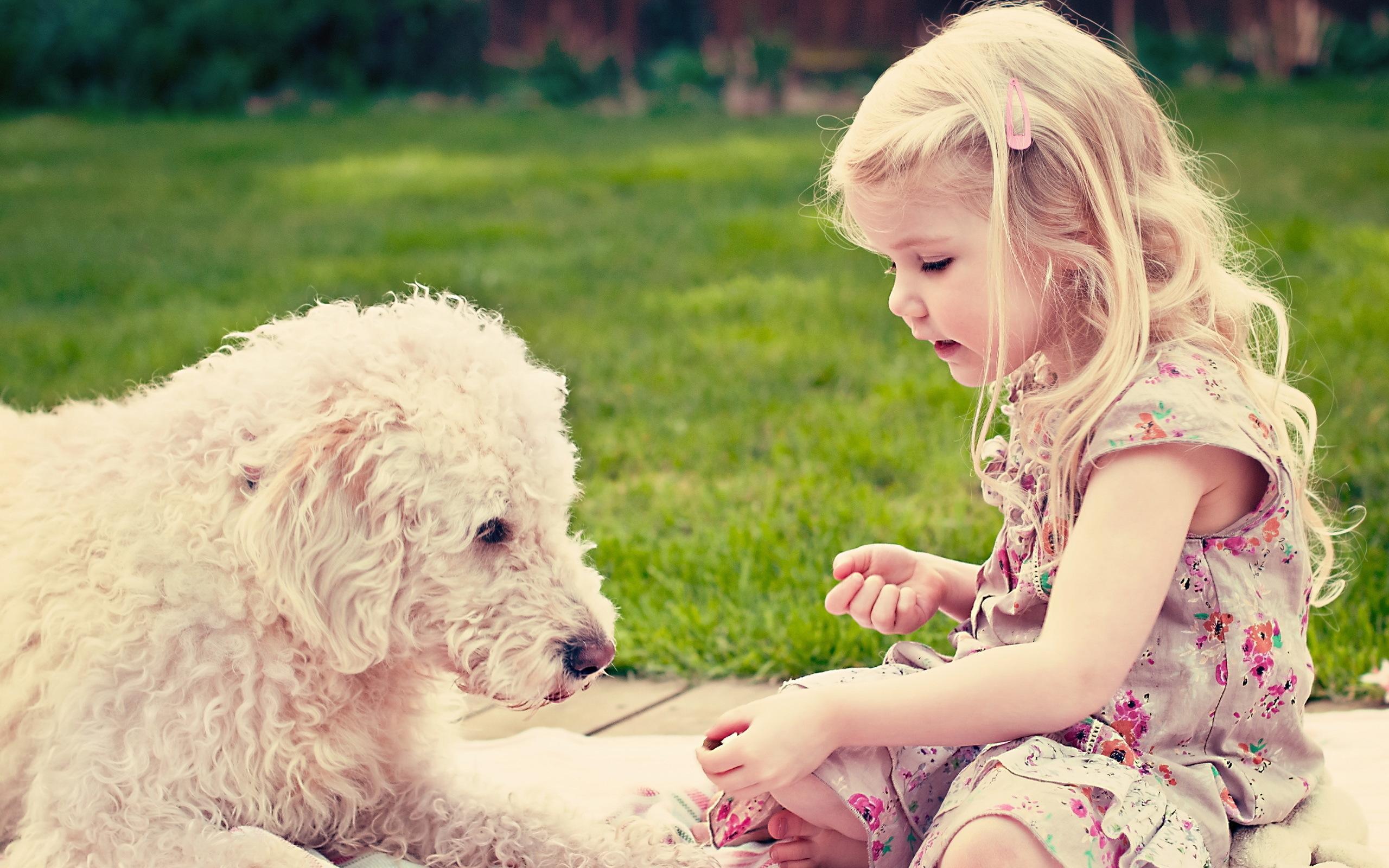 Lovely Friends - Puppy And Baby Hd , HD Wallpaper & Backgrounds