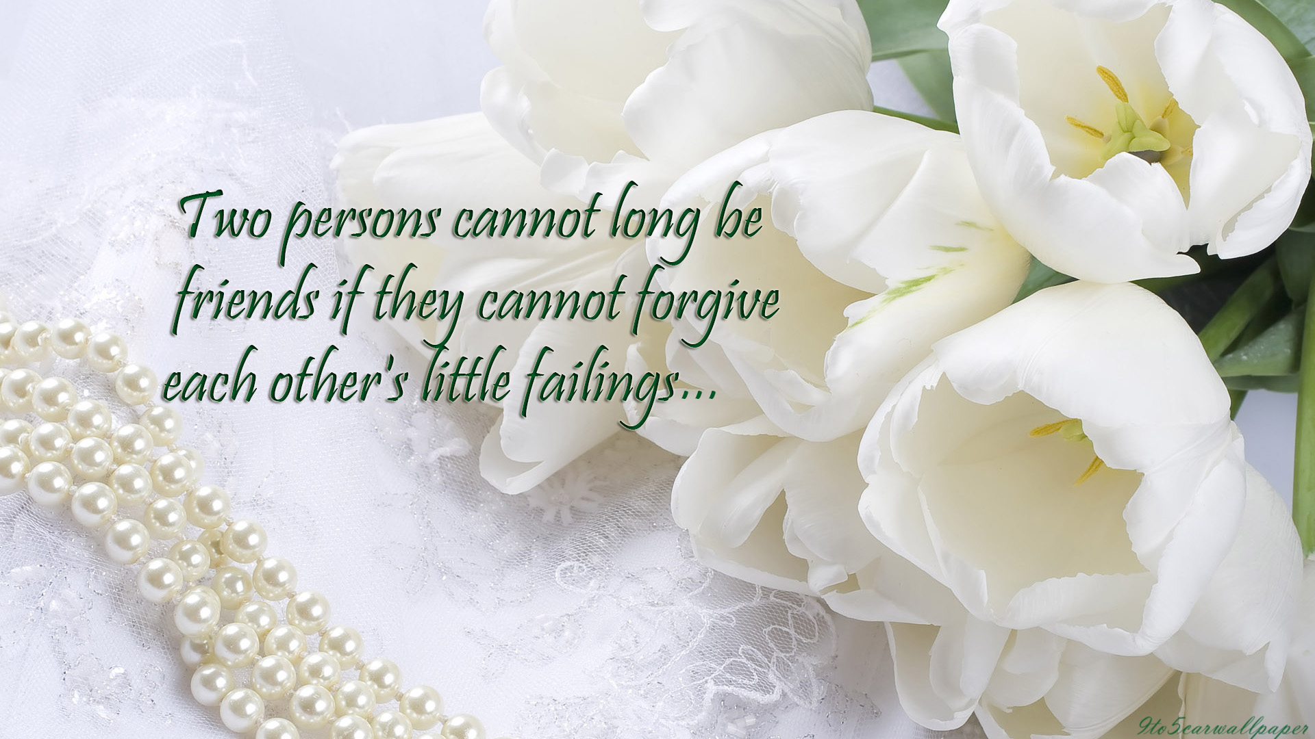 Beautiful Lovely Friendship Quotes Images High Definition