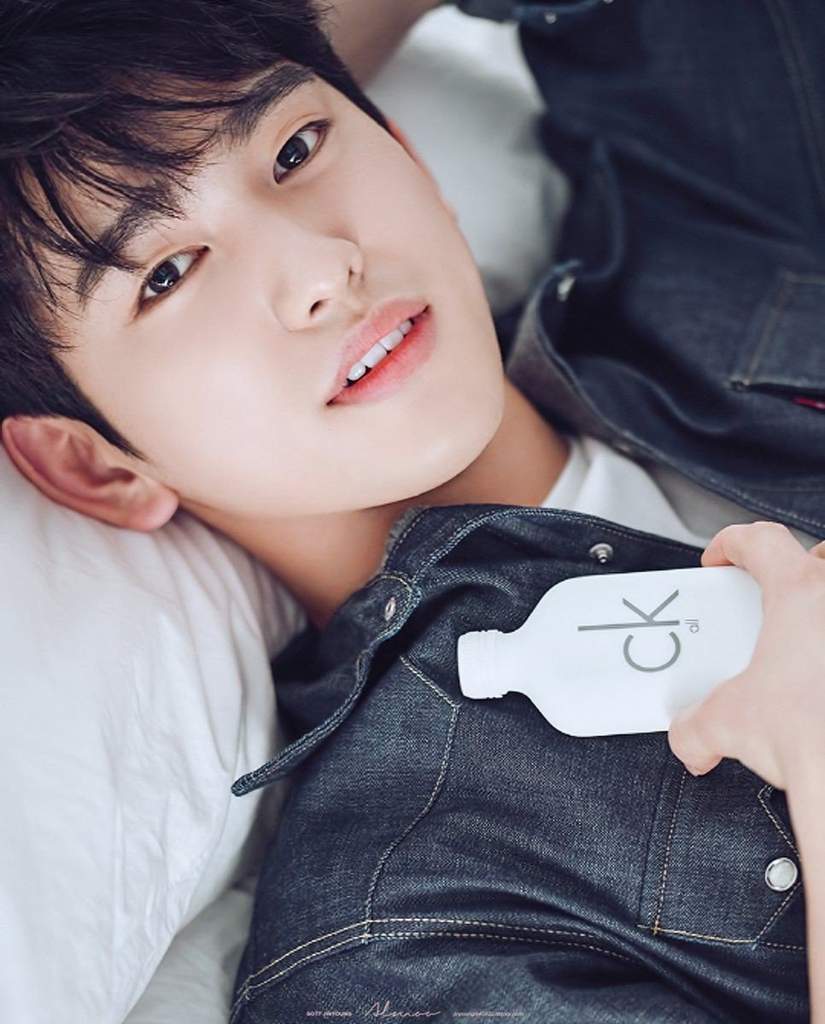 Jinyoung Got7 , HD Wallpaper & Backgrounds