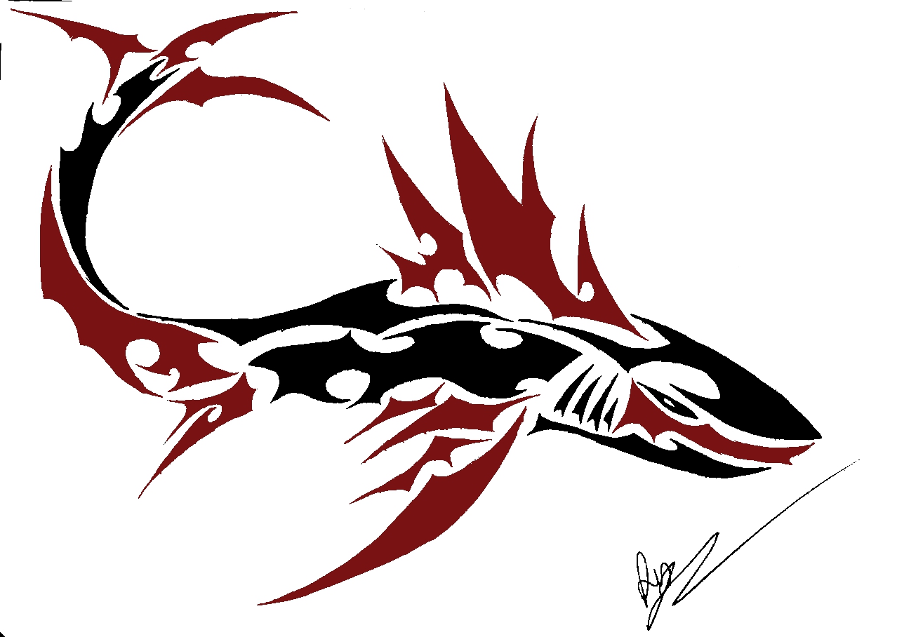 Hawaiian Tribal Shark Tattoo Designs Wallpaper - Tribal Shark Tattoo , HD Wallpaper & Backgrounds
