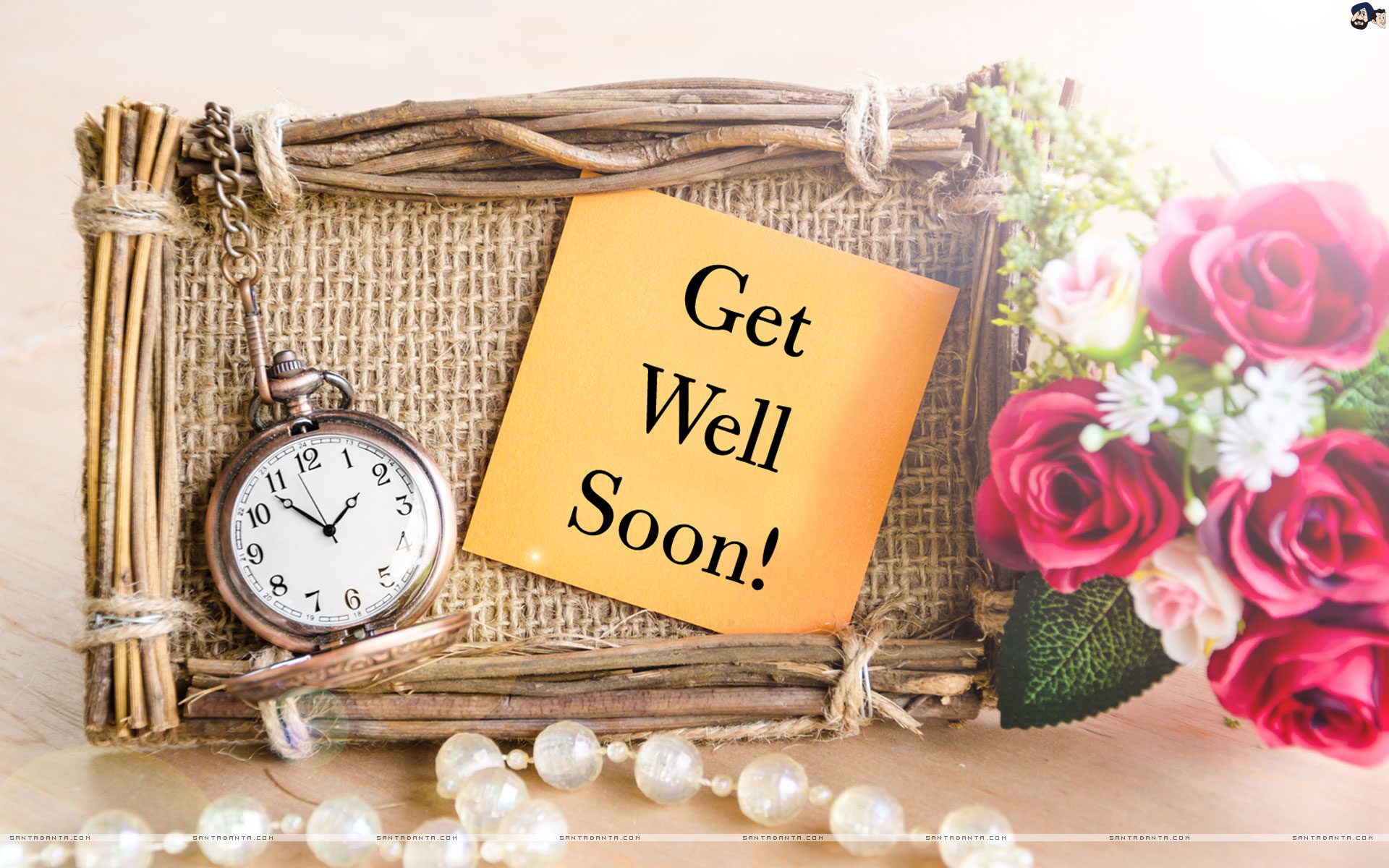 Get Well Soon - Rose Get Well Soon , HD Wallpaper & Backgrounds