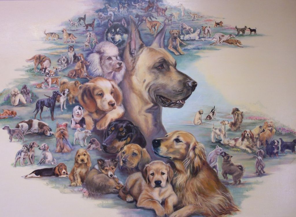 Rural Animal Clinic - Veterinary Wallpaper Hd , HD Wallpaper & Backgrounds