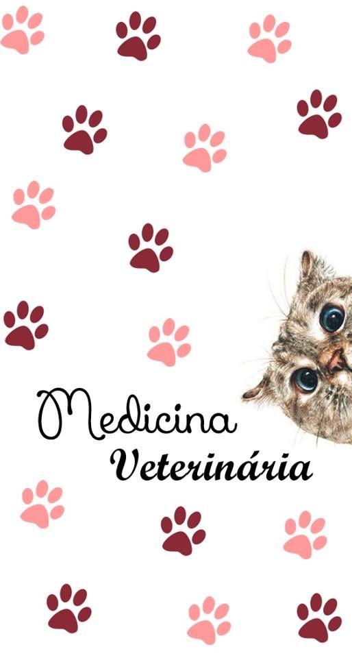 Veterinária Wallpaper Medicina Veterinária Papel De - Capinha Iphone 7 Plus Medicina Veterinaria , HD Wallpaper & Backgrounds