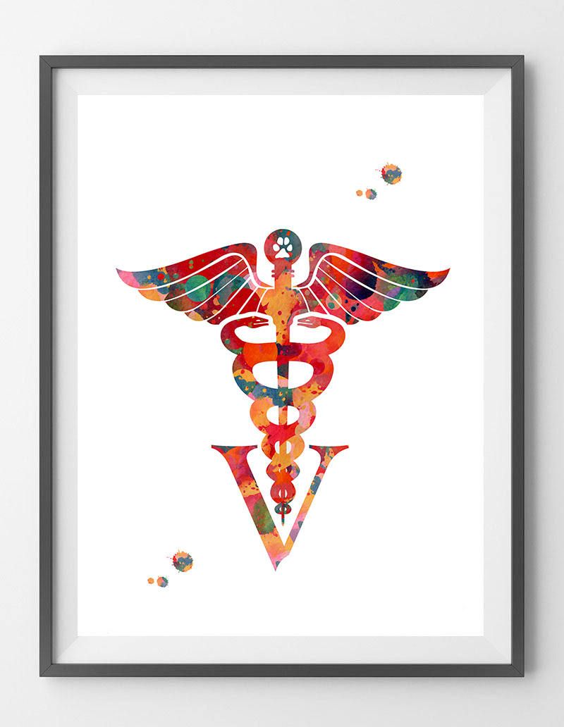 Veterinary Caduceus Watercolor Print Veterinary Clinic - Medicine Posters Art , HD Wallpaper & Backgrounds