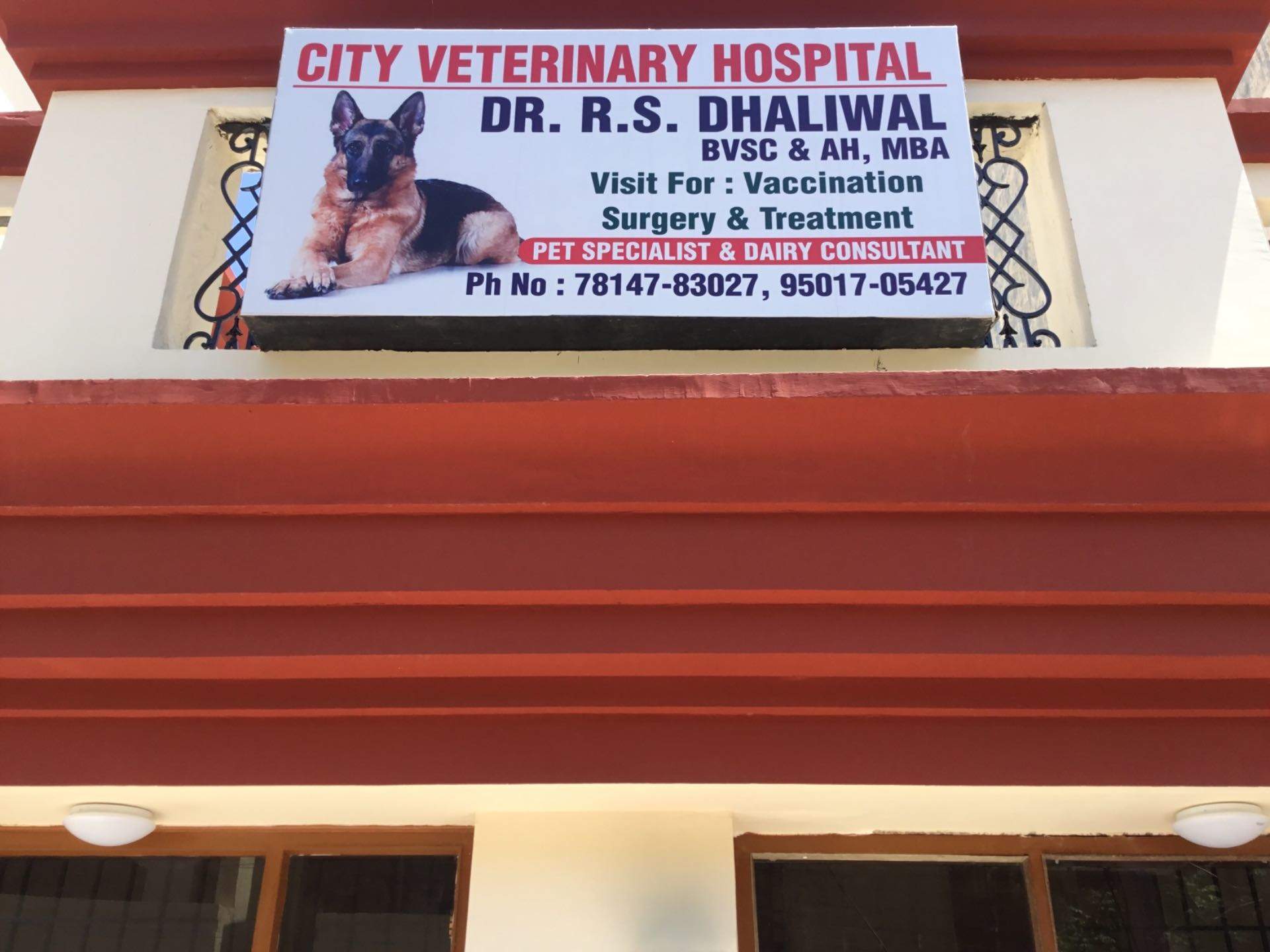Veterinary Clinics In Kharar, Chandigarh - Window , HD Wallpaper & Backgrounds