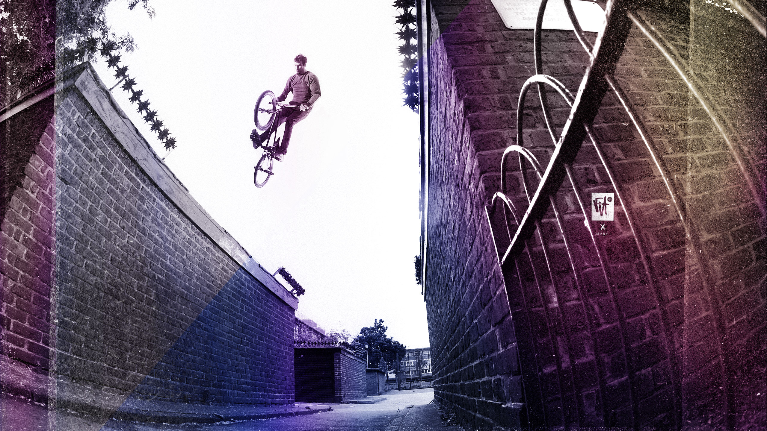 Marv Wallpaper - > - Bmx Fitbikeco , HD Wallpaper & Backgrounds