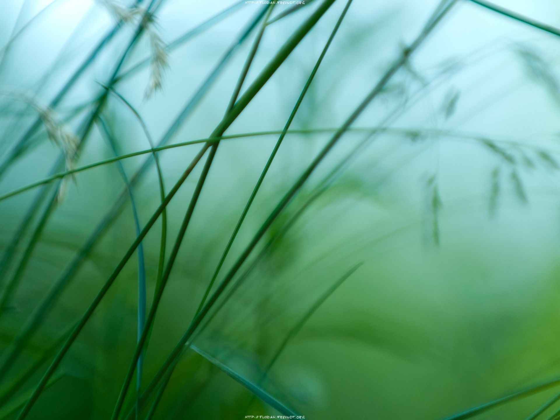Simple Beautiful Wallpapers Simple Nature Wallpaper Hd 556444