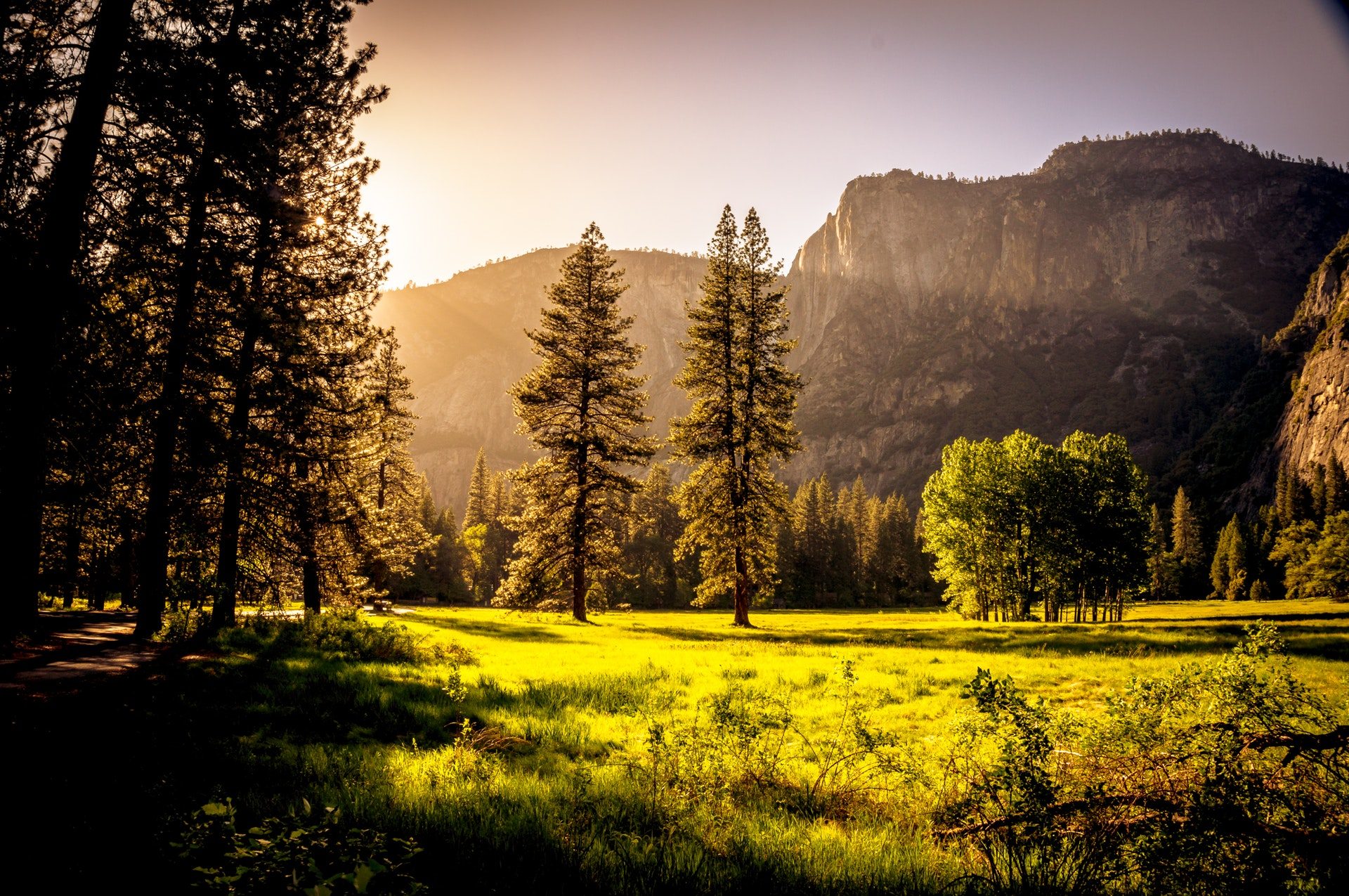 Stunning Beautiful Forest- Mountain Wallpaper Hd Free - Mountains Free Wallpapers Hd , HD Wallpaper & Backgrounds