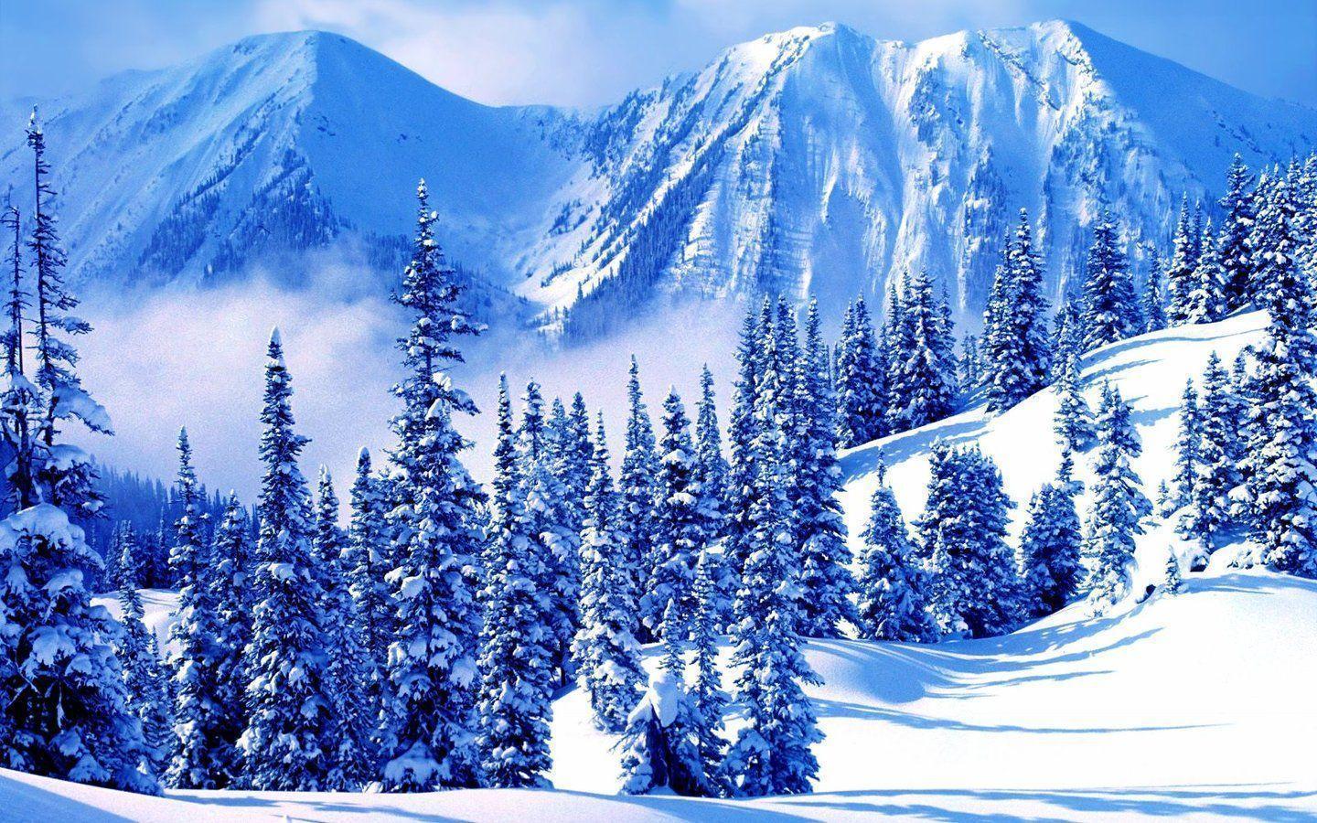 Free Hq Winter Mountains Wallpaper - Bursa Turkey In Winter , HD Wallpaper & Backgrounds