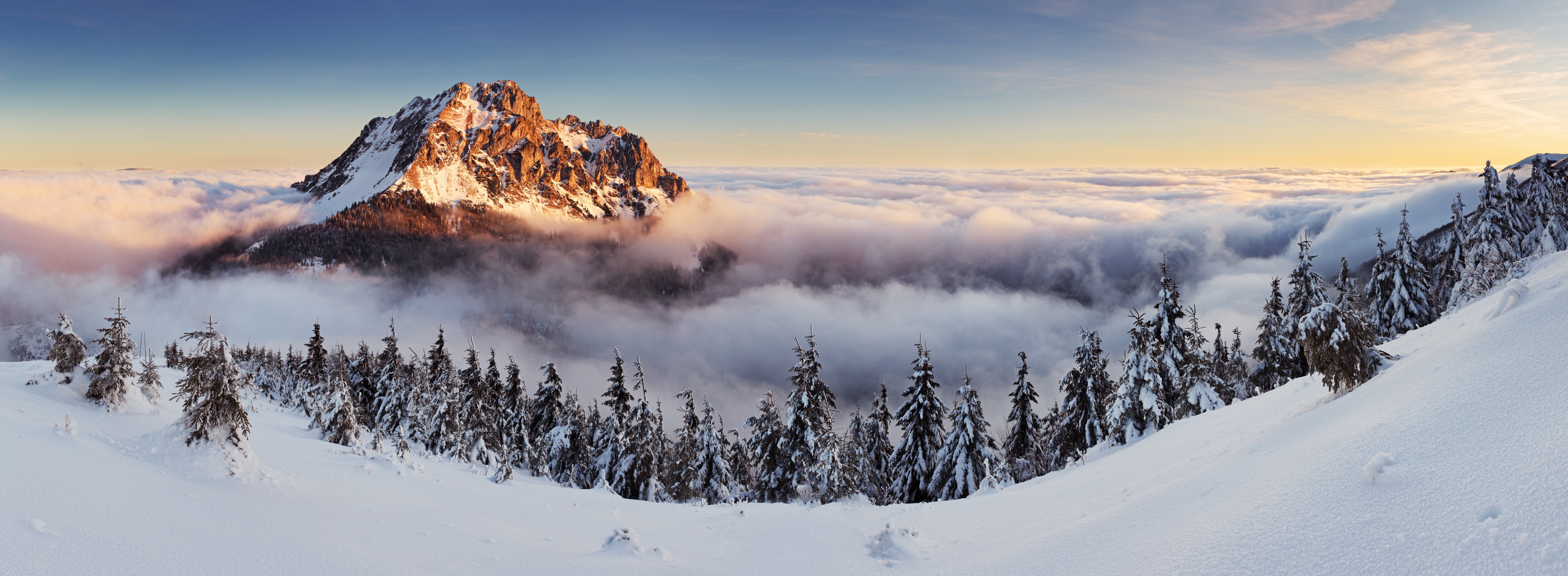 Winter Trees Landscape Mountain Wallpapers Hd / Desktop - Winter Trees And Mountains , HD Wallpaper & Backgrounds