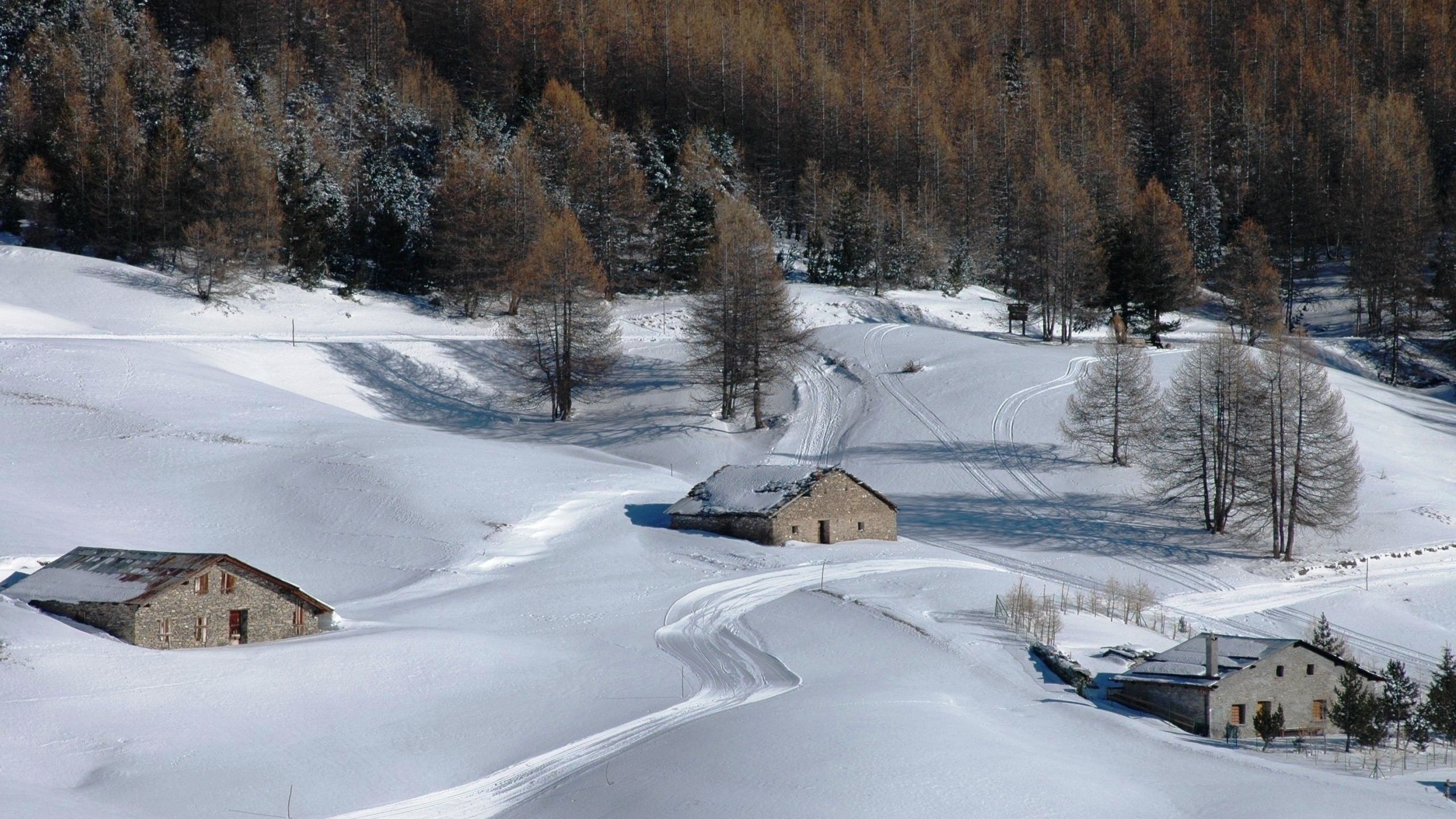 Winter Countryside Forest Snow White Country Nature - Country Winter Road Wallpaper Desktop , HD Wallpaper & Backgrounds