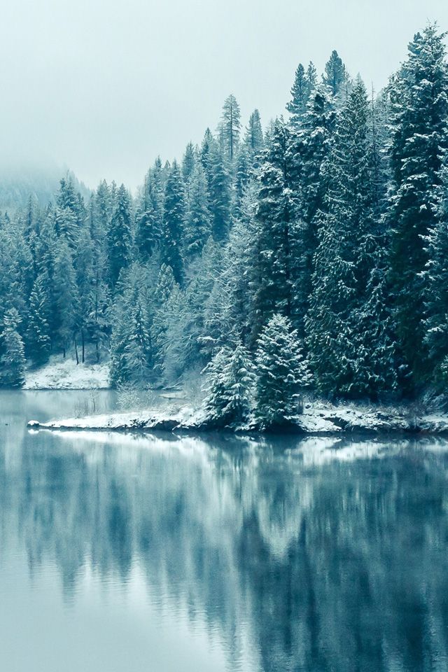Winter Lake Wallpaper - Hd Iphone X Wallpaper Winter , HD Wallpaper & Backgrounds