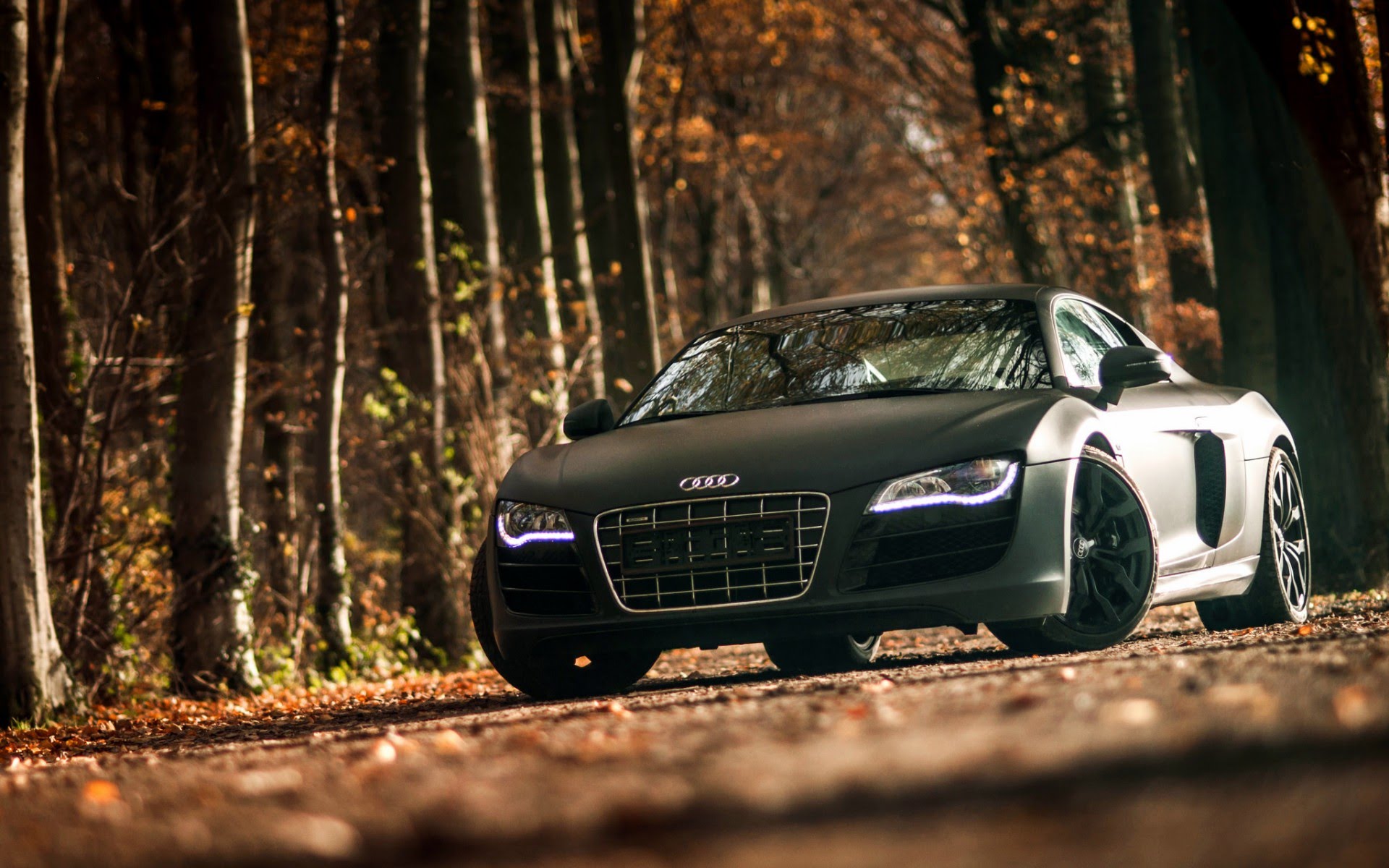 Audi Car Wallpapers Group - Sports Cars Wallpapers Audi R8 , HD Wallpaper & Backgrounds