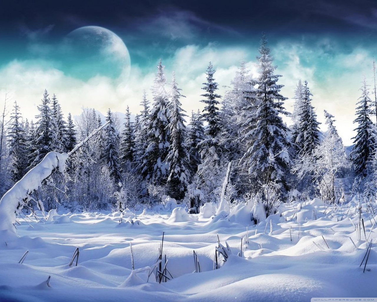 Standard 5 - - Winter Wonderland Facebook Cover , HD Wallpaper & Backgrounds