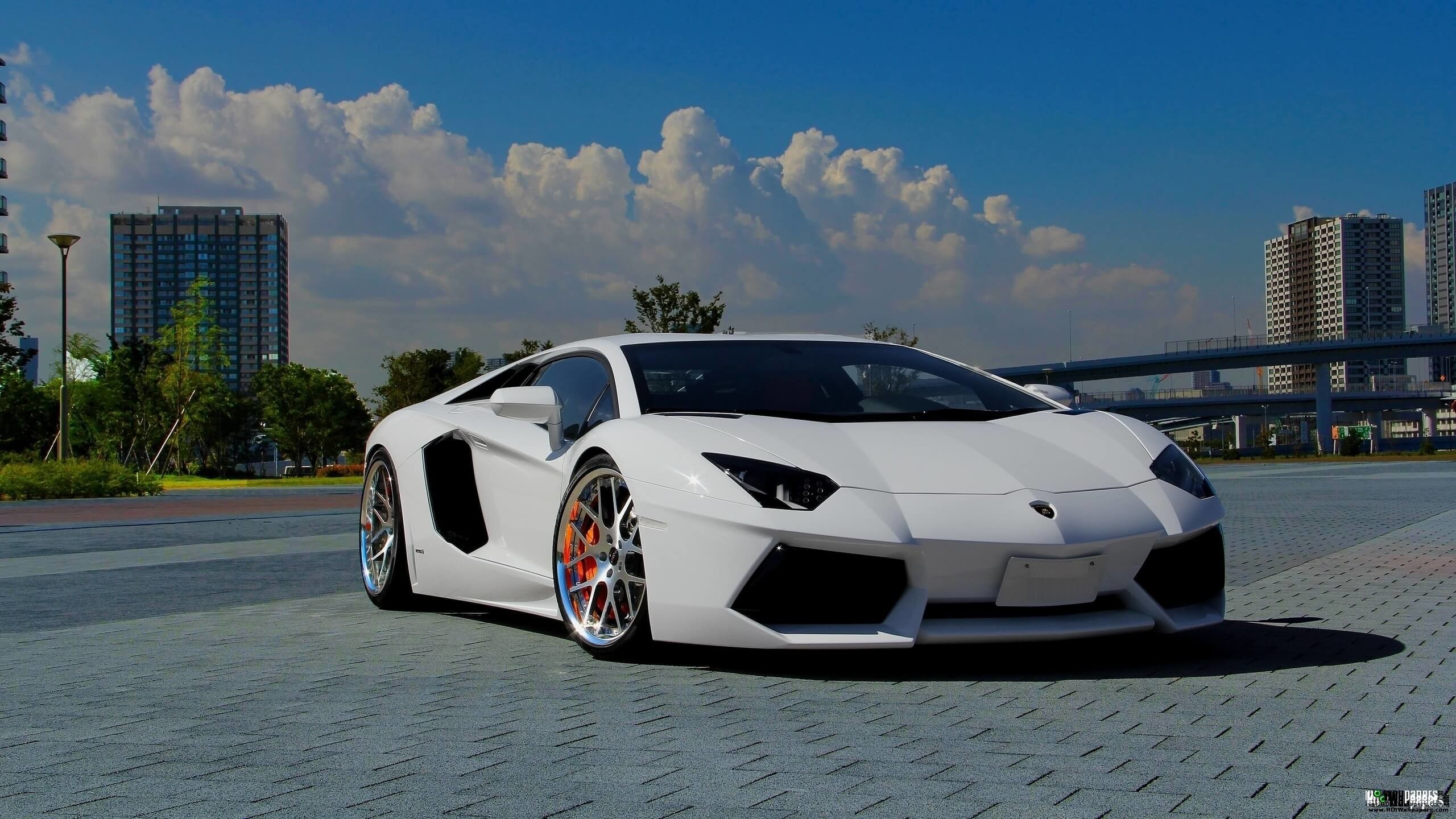 Download Lamborghini Wallpapers - Cars Wallpaper Hd For Desktop , HD Wallpaper & Backgrounds