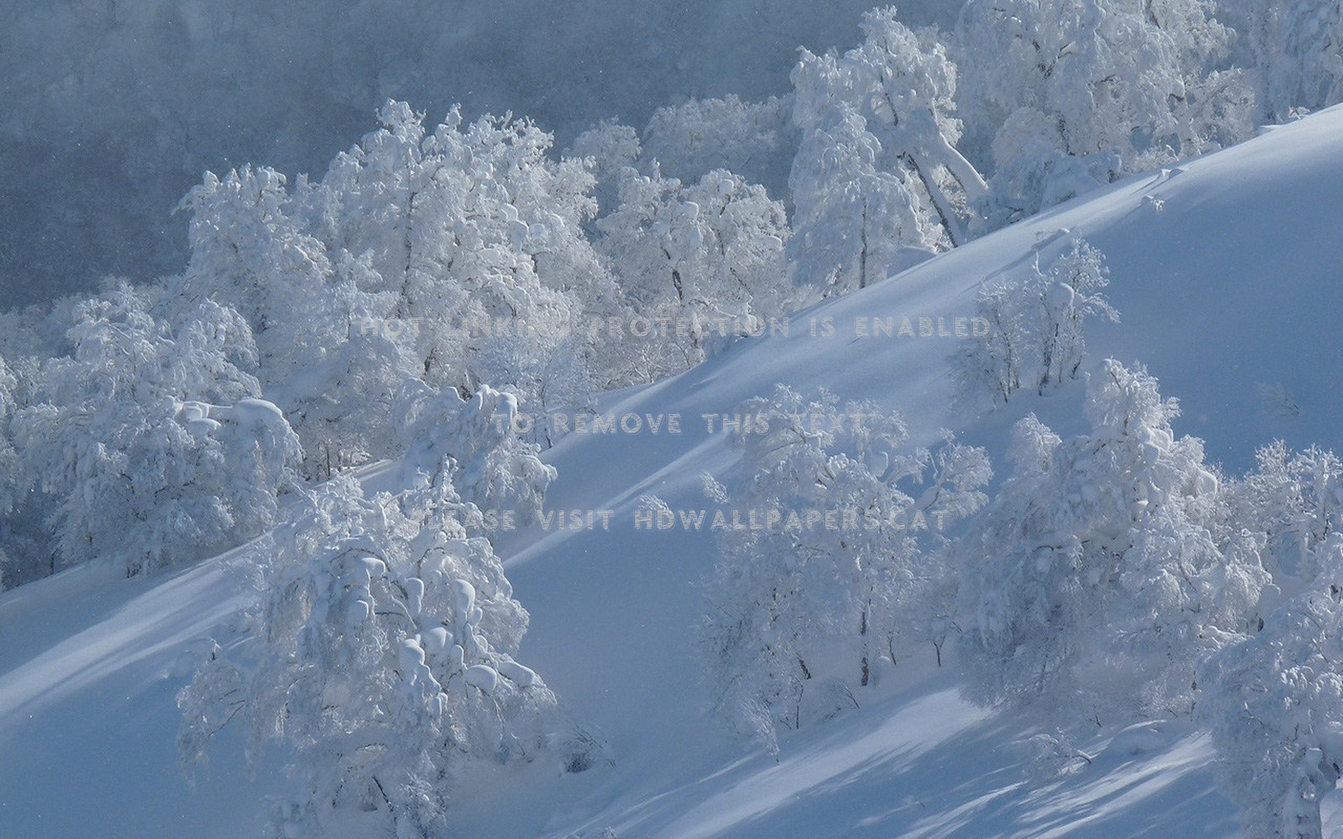 Snow , HD Wallpaper & Backgrounds