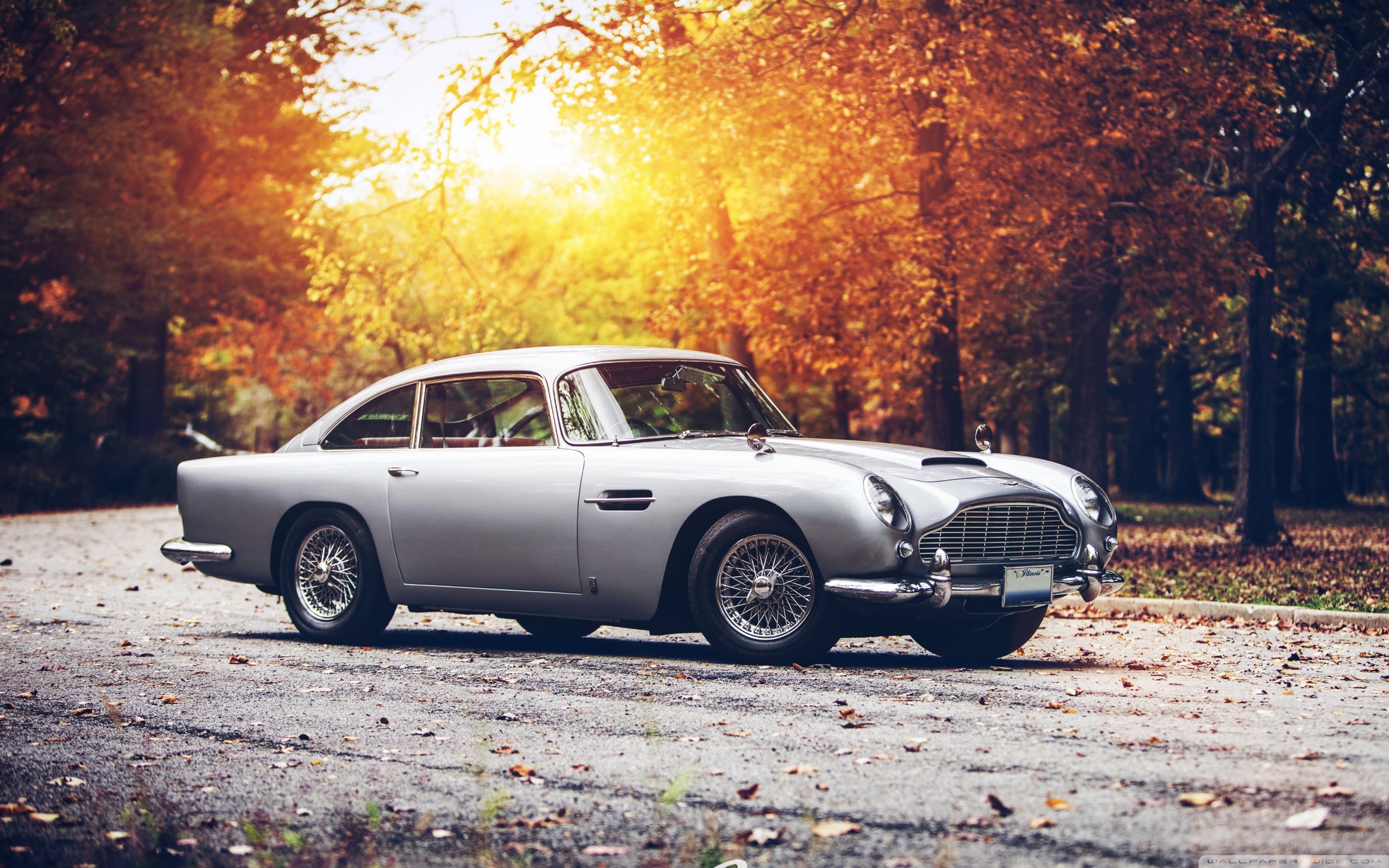 Wide - Aston Martin Db5 Wallpaper Hd , HD Wallpaper & Backgrounds