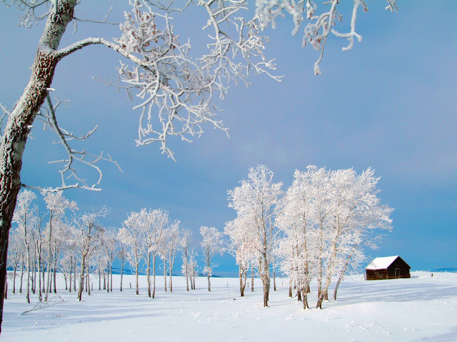 Download - Desktop Wallpaper Nature Winter , HD Wallpaper & Backgrounds