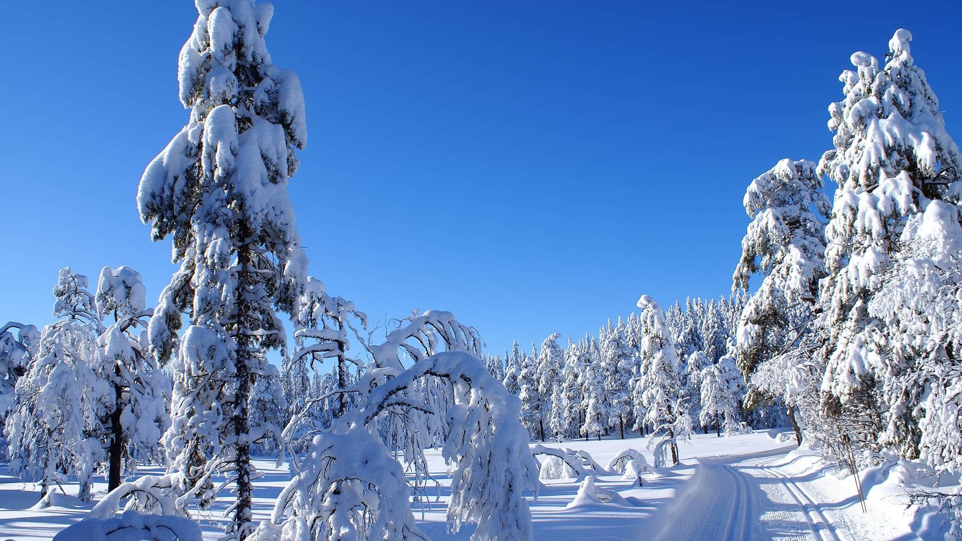 Nice Snow Wallpaper - Natural Winter Season , HD Wallpaper & Backgrounds
