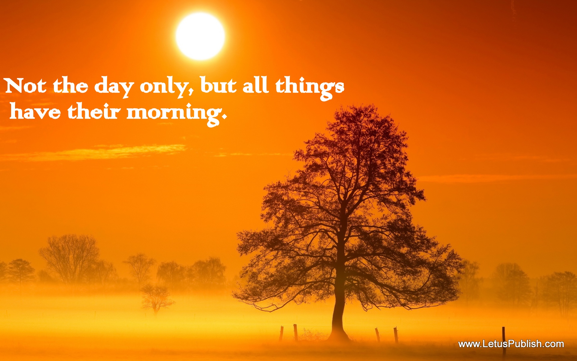 Good Morning Coffee Wallpaper With Quotes Sun Rise - Good Morning God Quotes Hindi , HD Wallpaper & Backgrounds