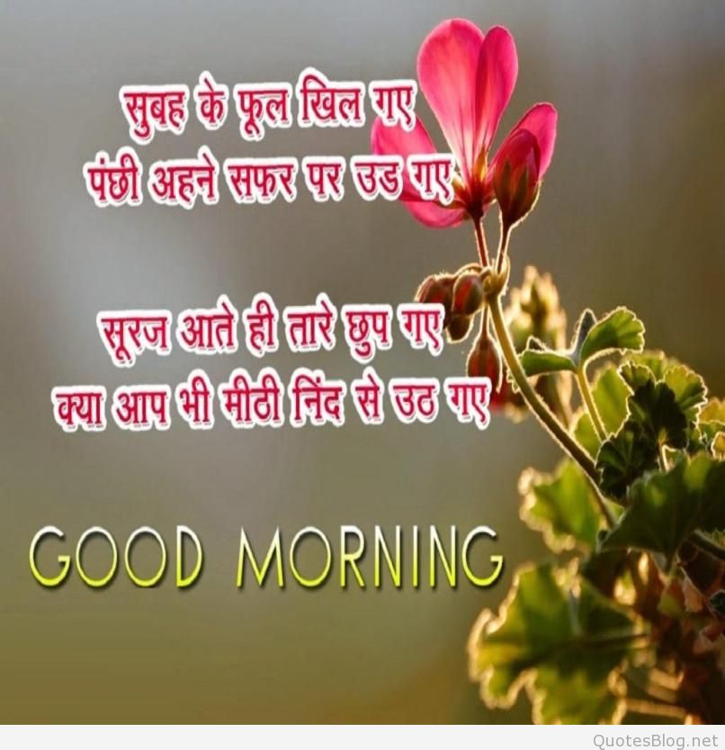 Inspirational Quotes Good Morning Sms With Images For - Love Good Morning Image Shayri , HD Wallpaper & Backgrounds