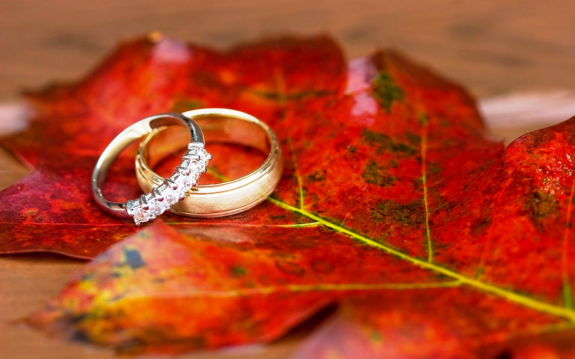 Free All Wallpaper Beautifull - Engagement Cover Photos For Facebook , HD Wallpaper & Backgrounds