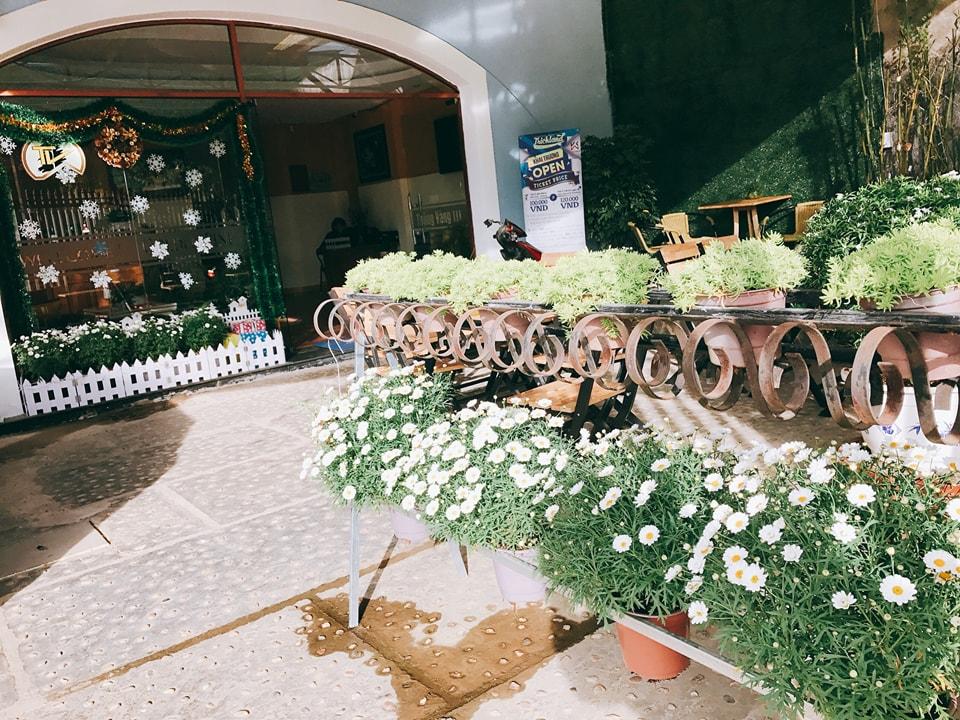 Images - Alyssum (#566319) - HD Wallpaper & Backgrounds Download