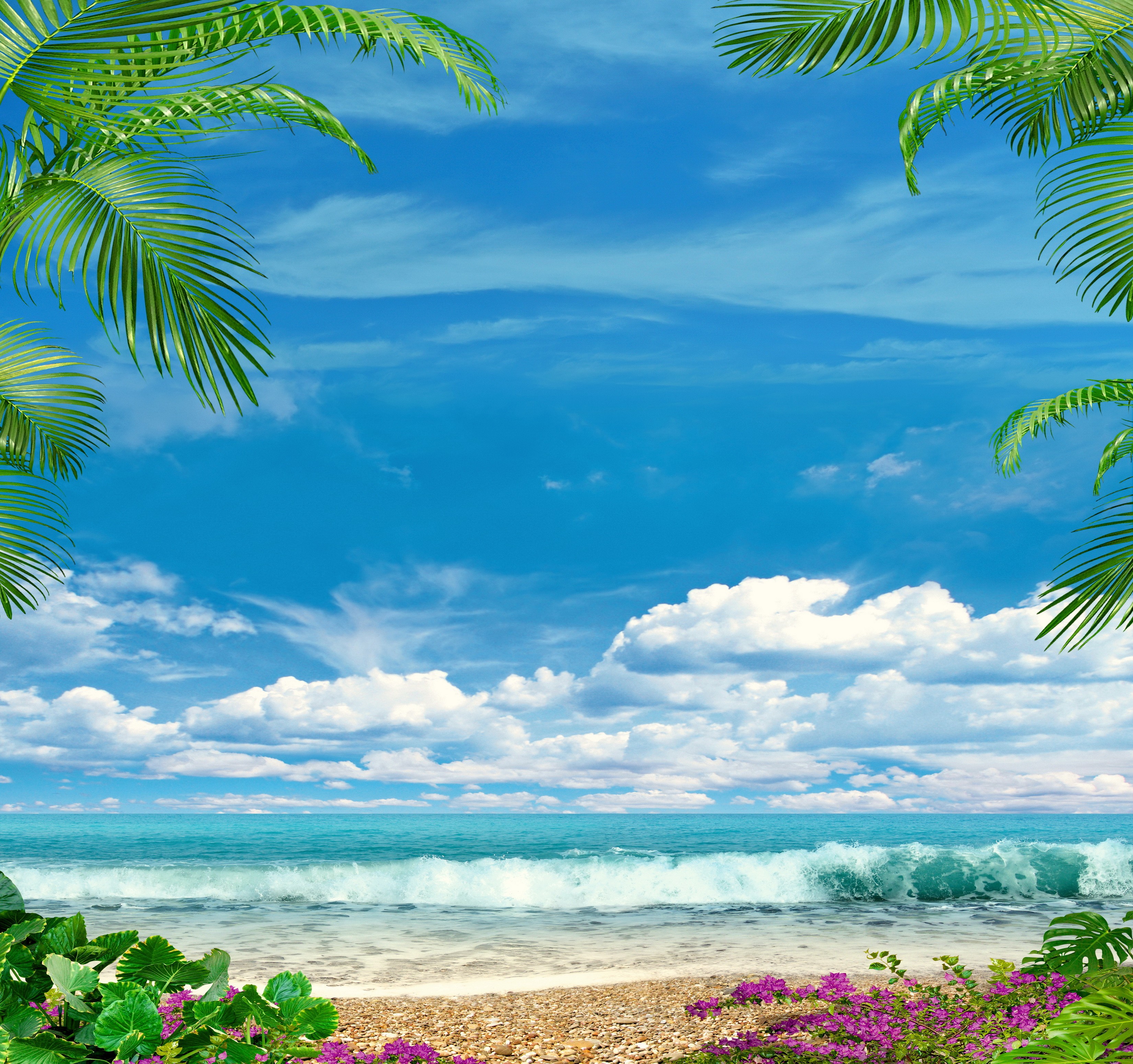 Blue Flowers Paradise Palms Ocean Coast Tropics Tropical - Sea , HD Wallpaper & Backgrounds