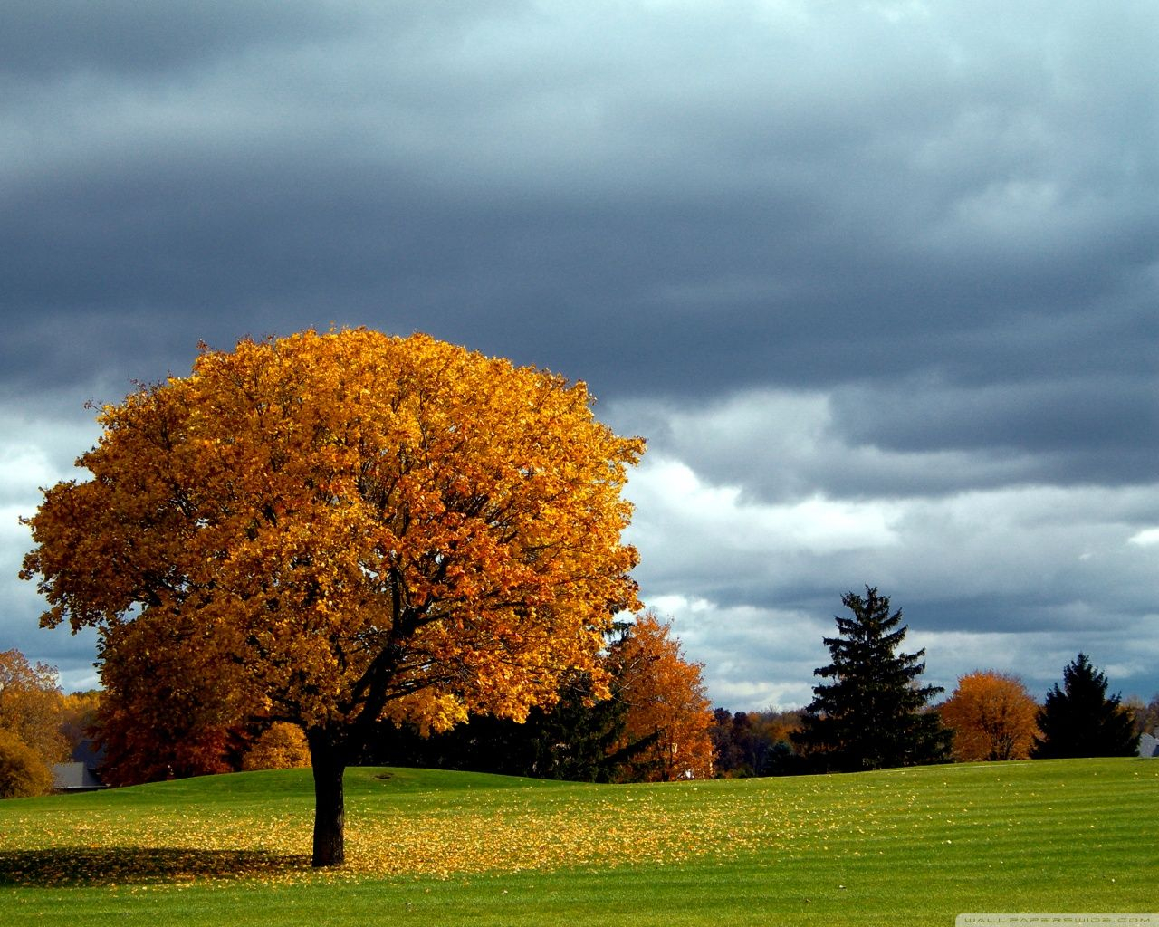 Desktop Wallpaper Hd Full Screen Nature - wallpaper