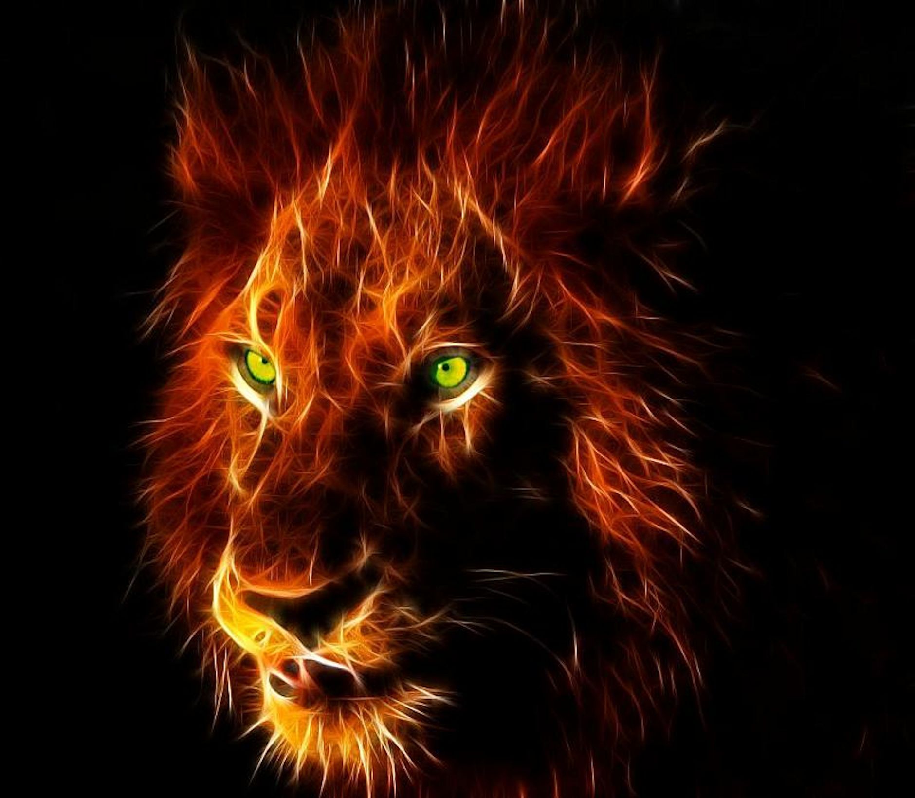 Danger Wallpapers-14x68w5 - Dangerous Lion Full Hd , HD Wallpaper & Backgrounds