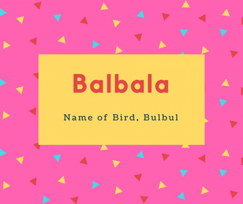Batool Name Meaning In Urdu , HD Wallpaper & Backgrounds
