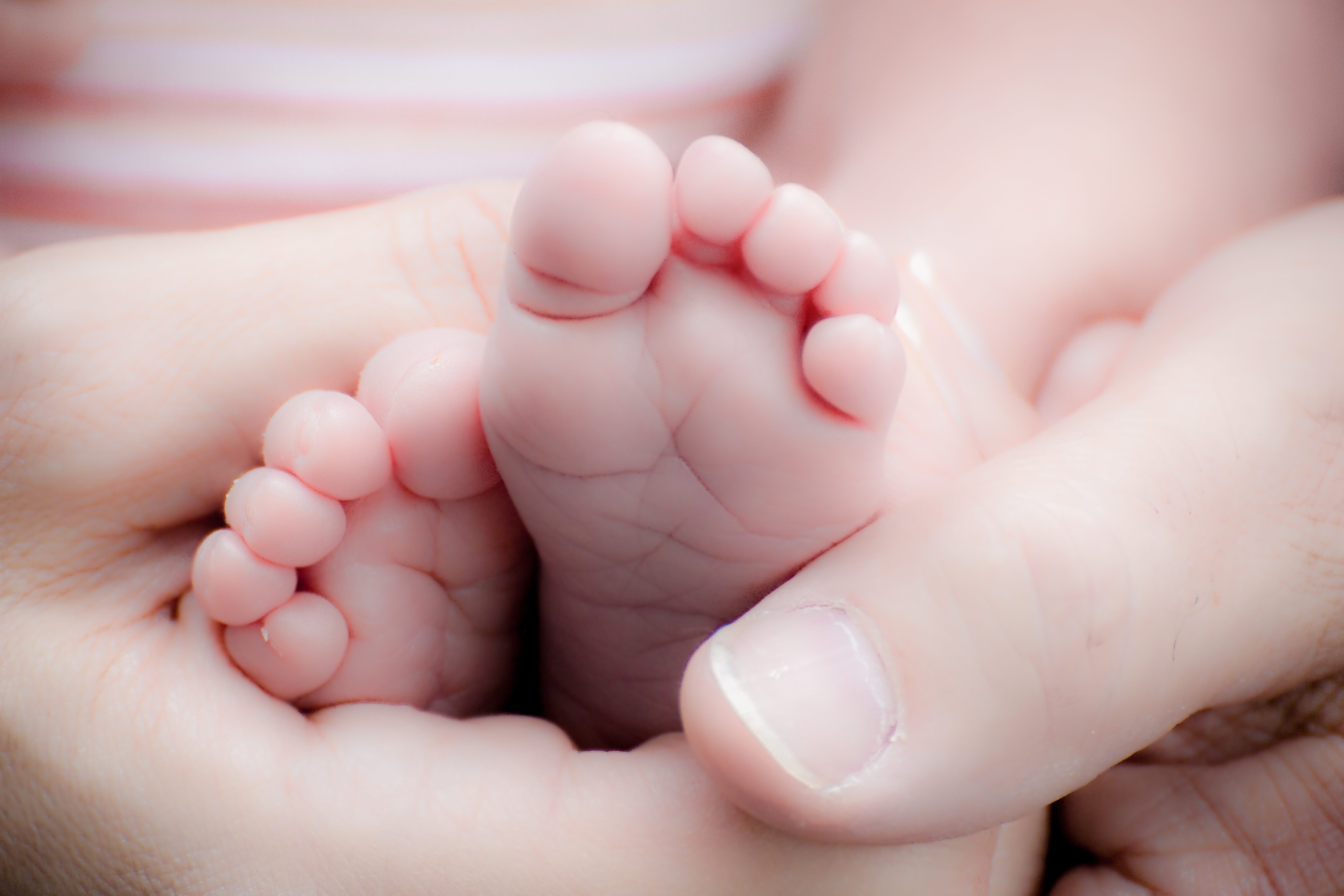 Similar Photos - New Born Babies , HD Wallpaper & Backgrounds