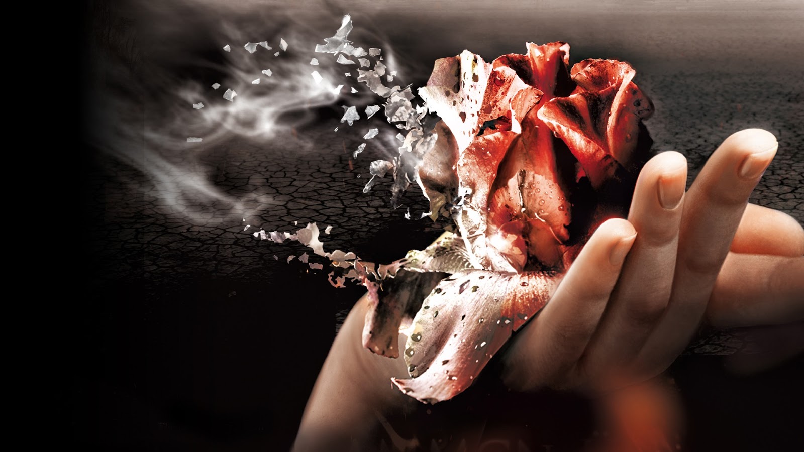 Burning Rose In My Hand - Burning Rose In Hand , HD Wallpaper & Backgrounds