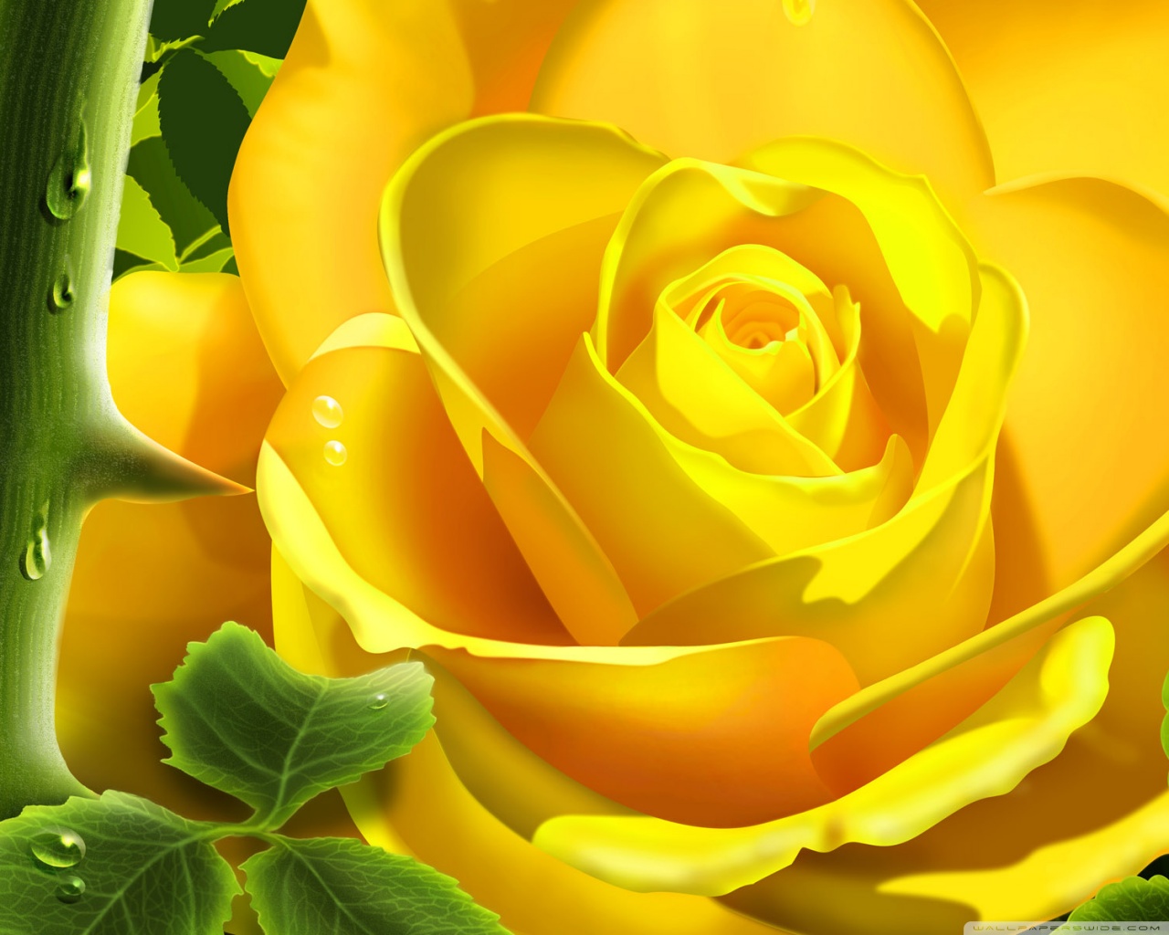 Standard 5 - - Yellow Rose In Hand Hd , HD Wallpaper & Backgrounds