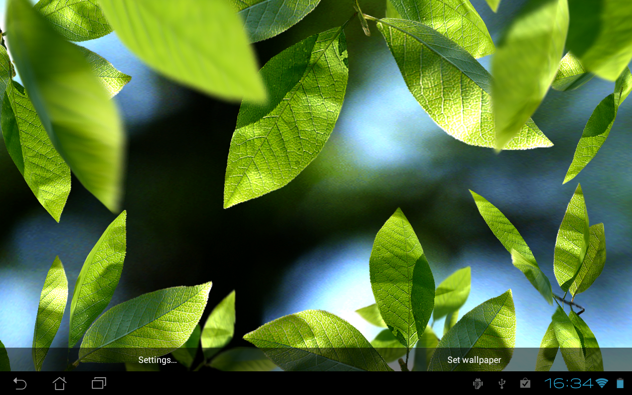 Fresh Leaves Live Wallpaper - Android , HD Wallpaper & Backgrounds