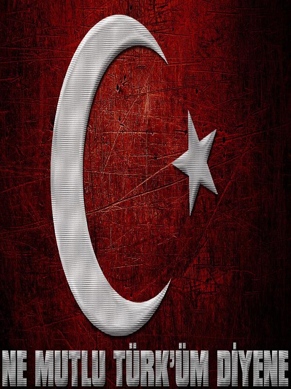 Turkish - Crescent , HD Wallpaper & Backgrounds