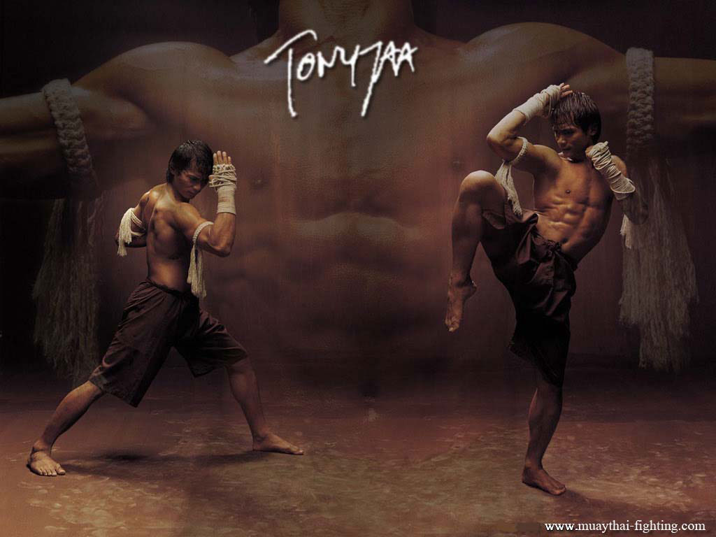 Tony Jaa Wallpaper - Tony Jaa Muay Thai , HD Wallpaper & Backgrounds