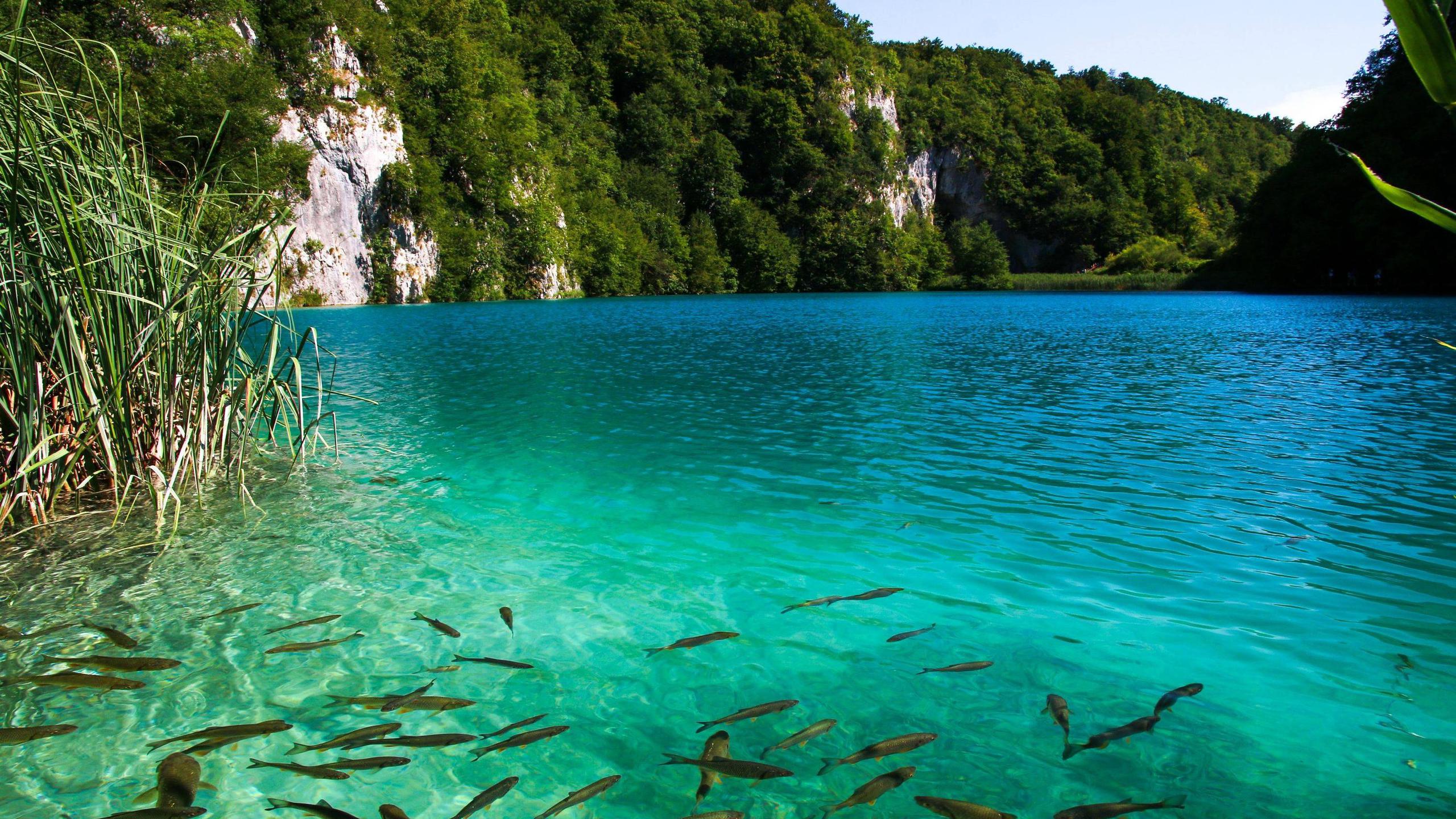 Plitvice Lakes, Croatia - Plitvice Lakes National Park , HD Wallpaper & Backgrounds