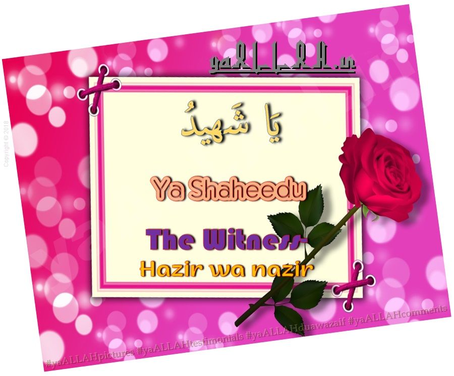 Husna Name Wallpaper - Ya Shaheedo Meaning In English , HD Wallpaper & Backgrounds