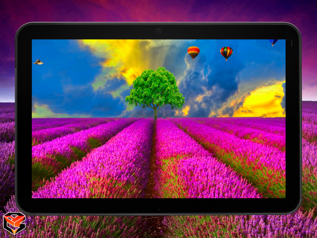 Lf Tablet Background 0 1 - Lavender Field Pro Lwp , HD Wallpaper & Backgrounds
