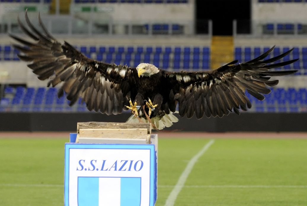 Ss Lazio Customized Inch Silk Print Poster/wallpaper - S.s. Lazio , HD Wallpaper & Backgrounds