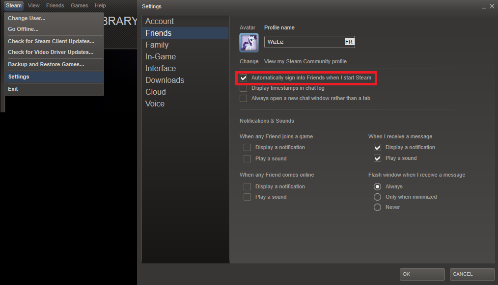Steam Online Mode Yapma Images - Steam Settings Menu , HD Wallpaper & Backgrounds