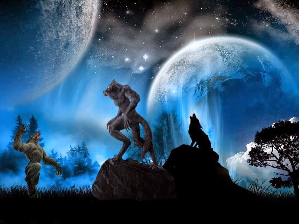 Belajar Mengedit Potret - Twilight New Moon Background , HD Wallpaper & Backgrounds