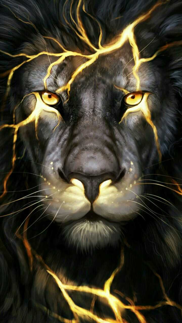 Wallpaper - Sharechat - Cool Pictures Of Lions , HD Wallpaper & Backgrounds