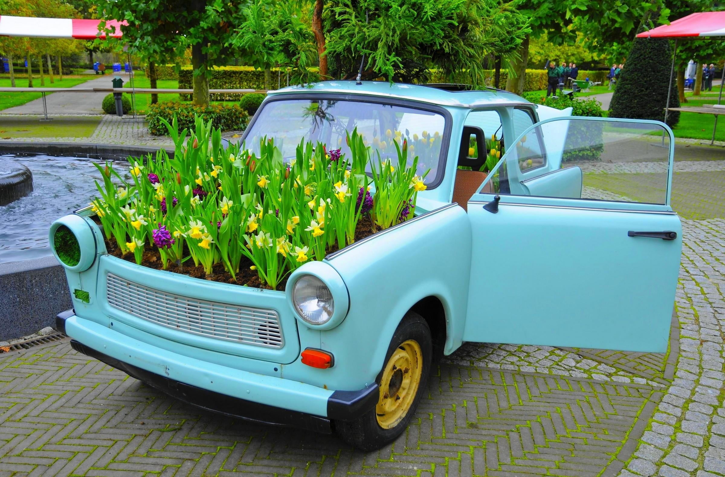 Teal Tofas Murat, Daffodils, Flowers, Flowerbed, Car, - Можно Сделать Из Кузова Автомобиля , HD Wallpaper & Backgrounds