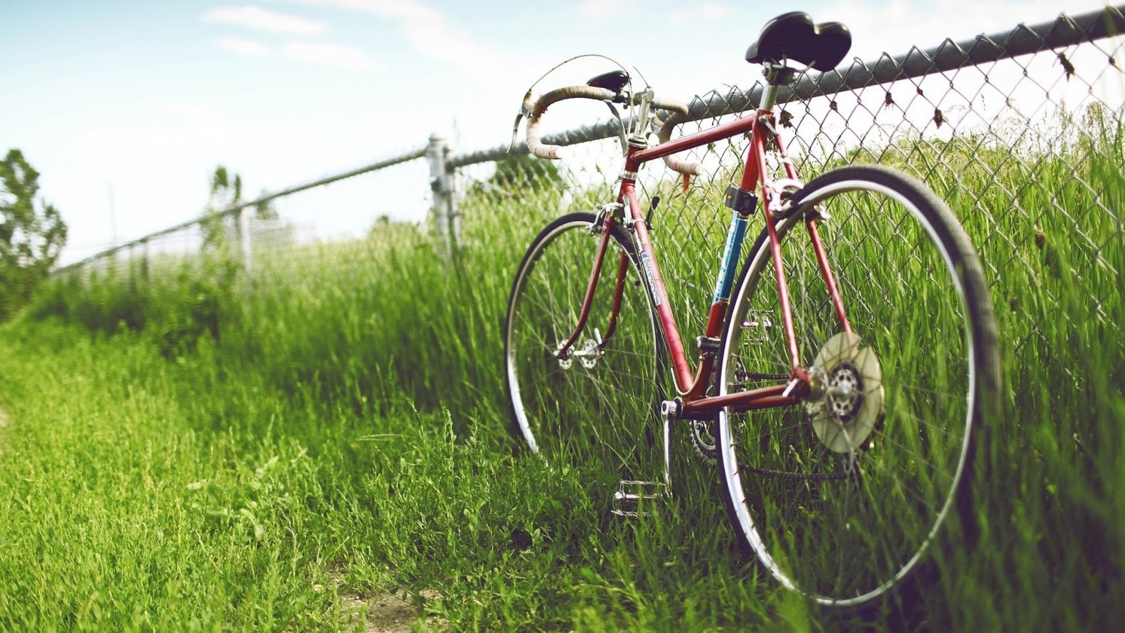 4k Bisiklet Ile Ilgili Fotoğraflar Bisiklet Görselleri, - Bisiklet Hd , HD Wallpaper & Backgrounds