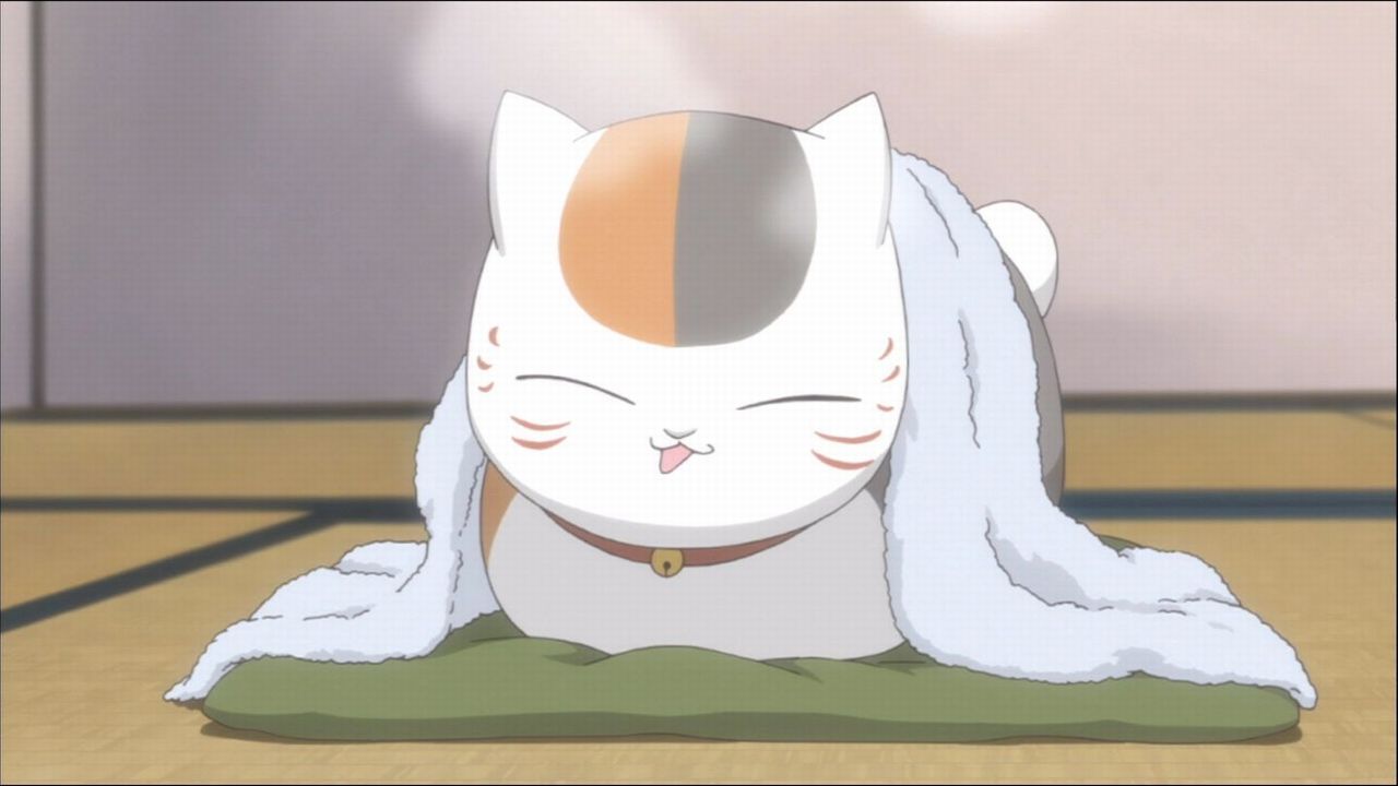 I Know, I'm Spamming Large Pictures And Making My Entry - Nyanko Sensei , HD Wallpaper & Backgrounds