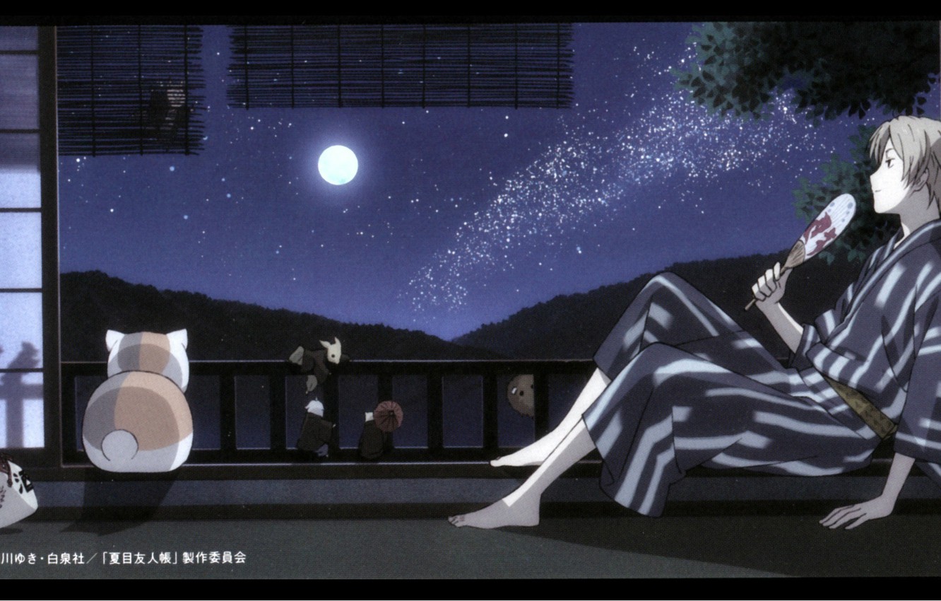 Photo Wallpaper Cat, Trees, Night, The Moon, Window, - Kousuke Atari Natsu Yuuzora , HD Wallpaper & Backgrounds